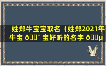 姓郑牛宝宝取名（姓郑2021年牛宝 🐯 宝好听的名字 🌵 ）